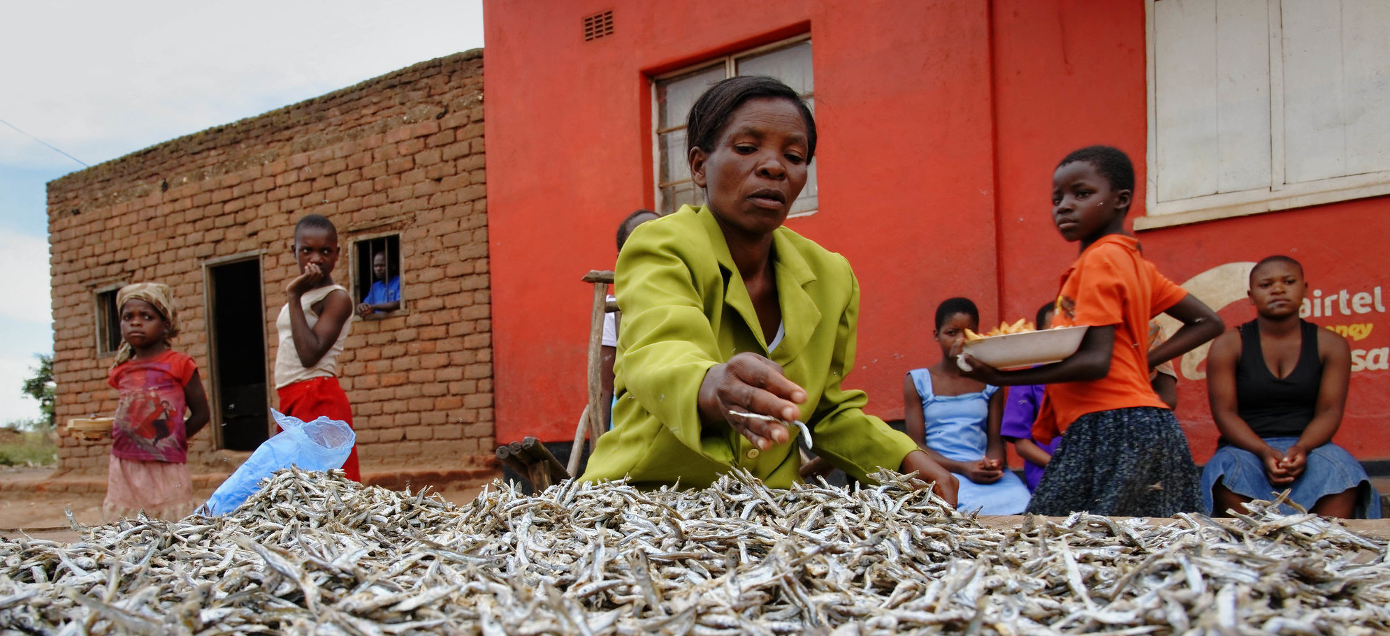 New African strategy praised for recognising significance of social